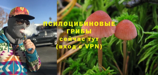 соль ск Балабаново